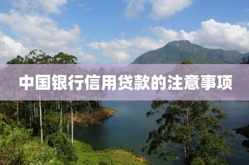 中国银行信用贷款的注意事项