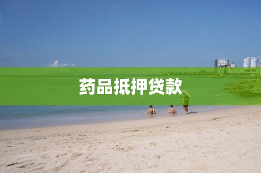 药品抵押贷款