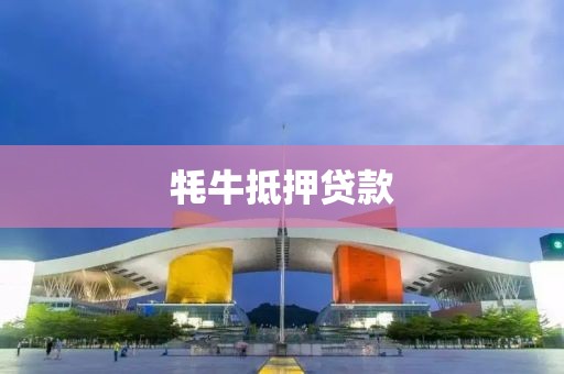 牦牛抵押贷款
