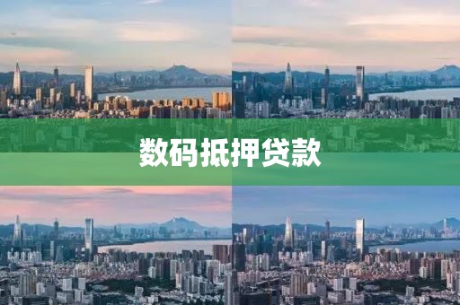 数码抵押贷款