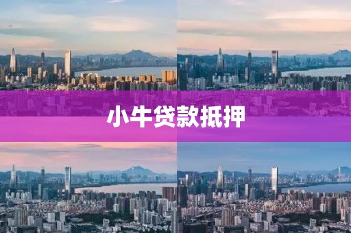 小牛贷款抵押