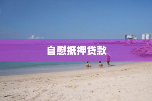 自慰抵押贷款