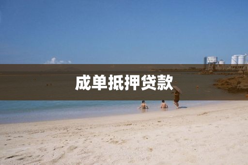 成单抵押贷款