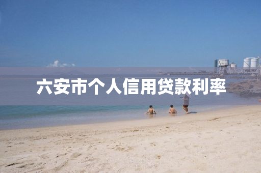 六安市个人信用贷款利率