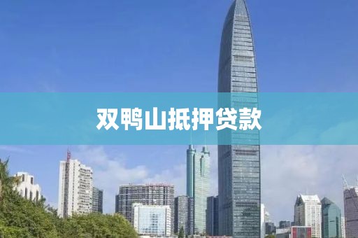 双鸭山抵押贷款