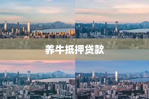 养牛抵押贷款