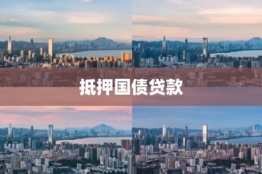 抵押国债贷款