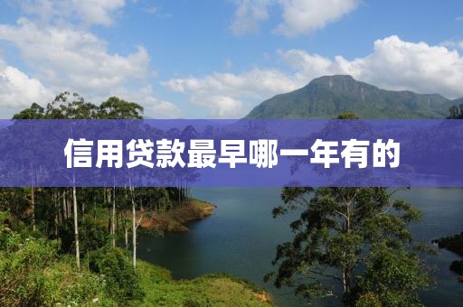 信用贷款最早哪一年有的