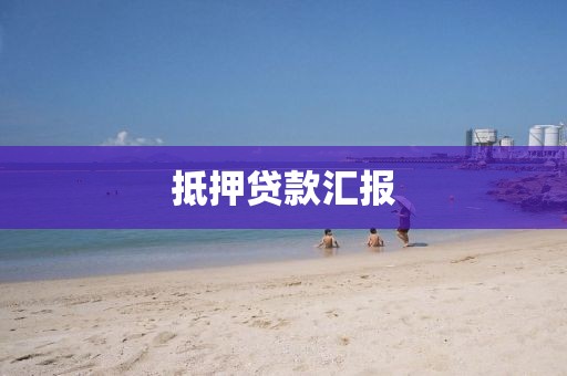抵押贷款汇报