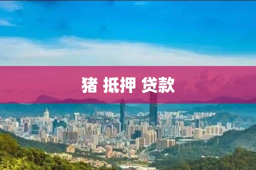 猪 抵押 贷款