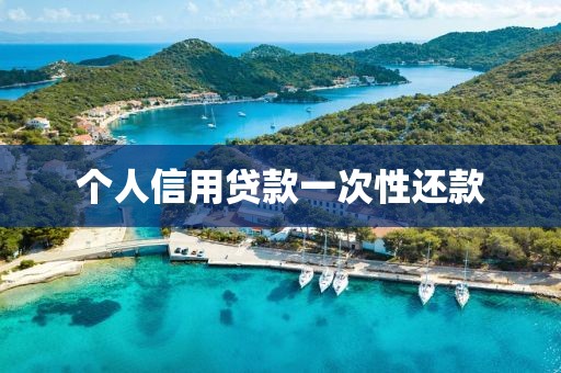 个人信用贷款一次性还款