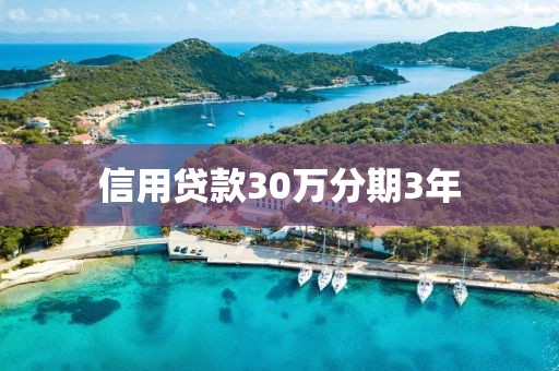 信用贷款30万分期3年