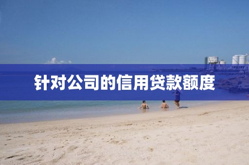 针对公司的信用贷款额度