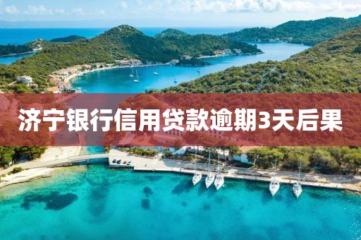 济宁银行信用贷款逾期3天后果