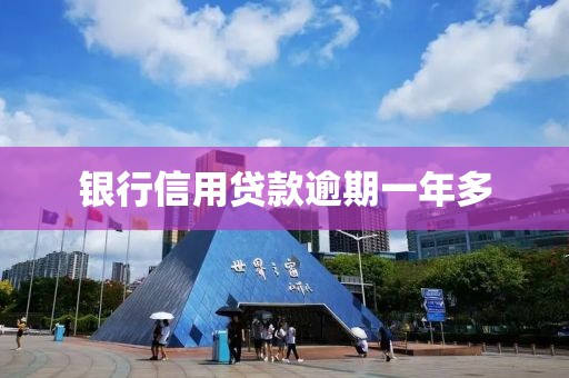 银行信用贷款逾期一年多