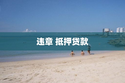 违章 抵押贷款