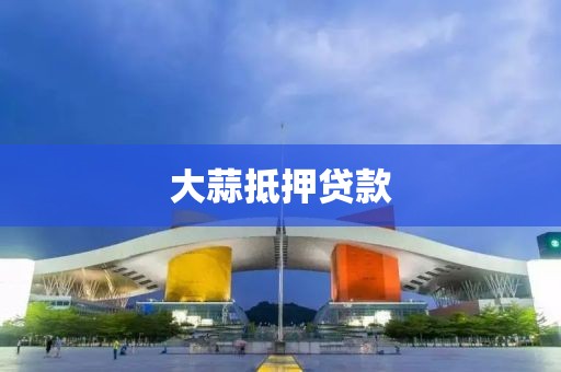 大蒜抵押贷款