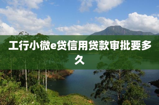 工行小微e贷信用贷款审批要多久
