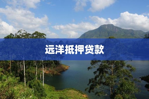 远洋抵押贷款