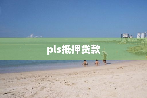 pls抵押贷款