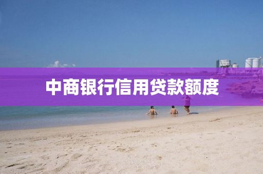 中商银行信用贷款额度