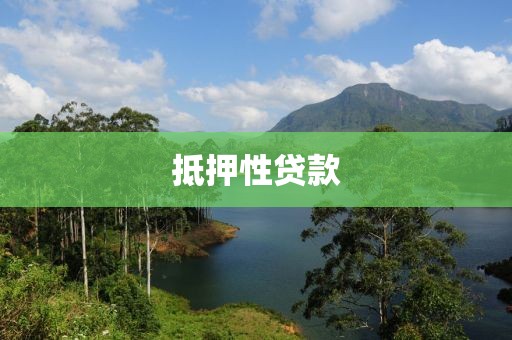 抵押性贷款