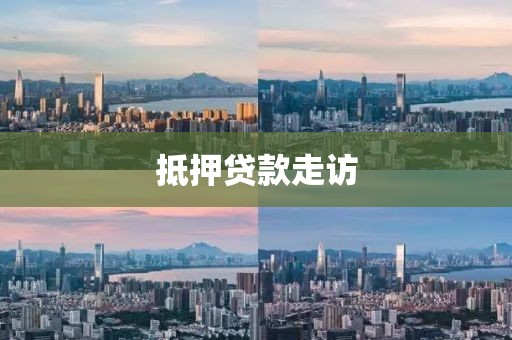 抵押贷款走访