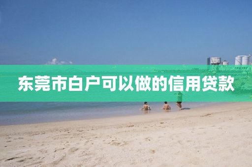 东莞市白户可以做的信用贷款