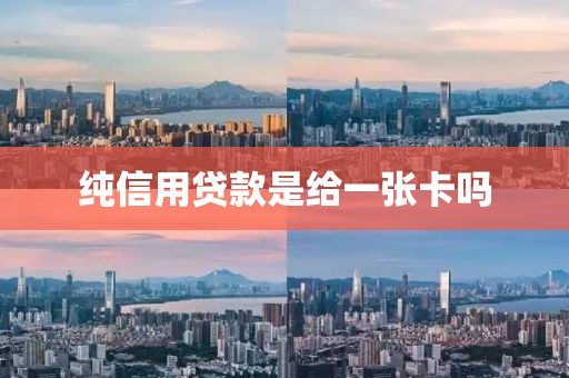 纯信用贷款是给一张卡吗