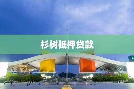 杉树抵押贷款