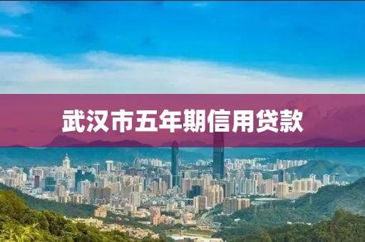 武汉市五年期信用贷款
