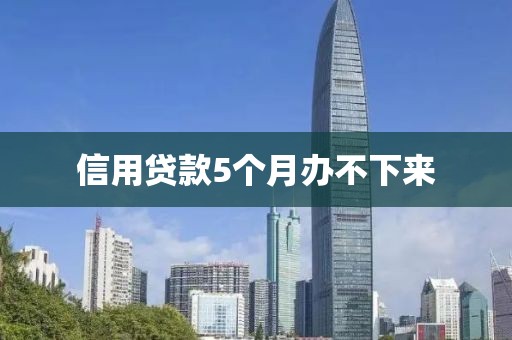 信用贷款5个月办不下来