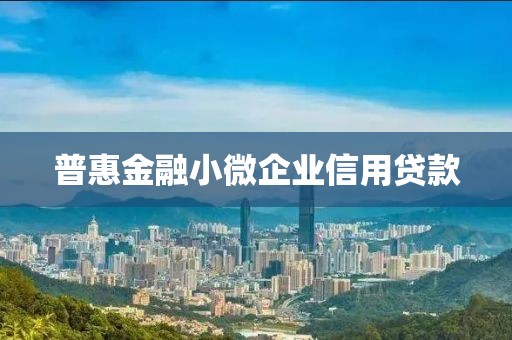 普惠金融小微企业信用贷款