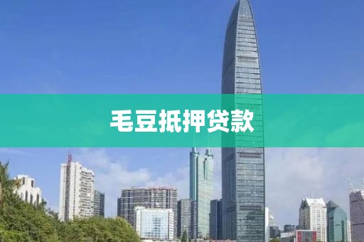 毛豆抵押贷款