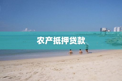 农产抵押贷款