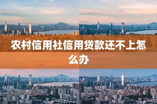 农村信用社信用贷款还不上怎么办