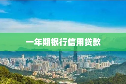 一年期银行信用贷款
