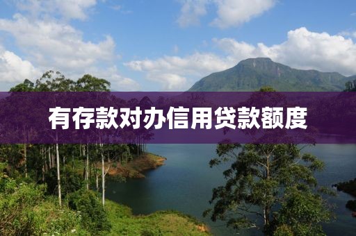有存款对办信用贷款额度