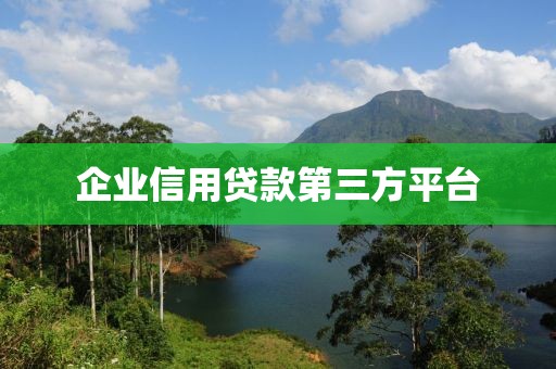 企业信用贷款第三方平台
