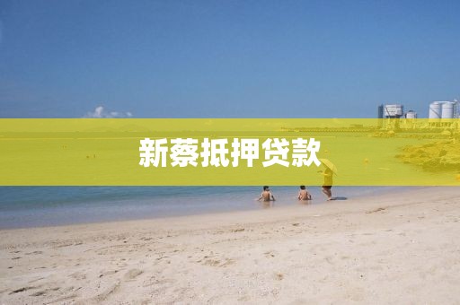 新蔡抵押贷款