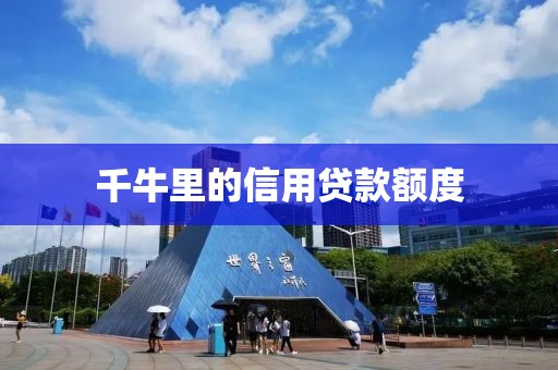 千牛里的信用贷款额度