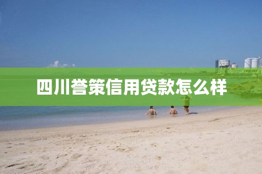 四川誉策信用贷款怎么样