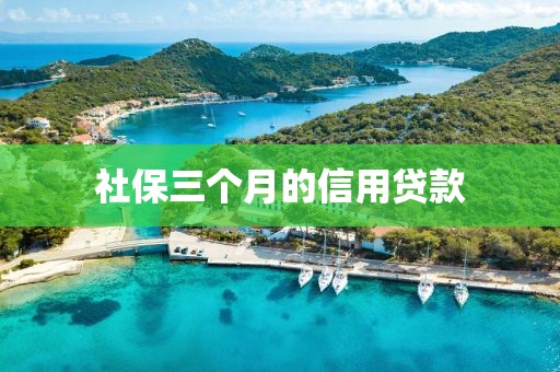 社保三个月的信用贷款