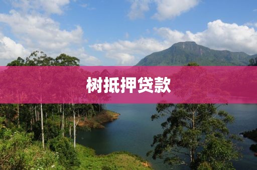 树抵押贷款
