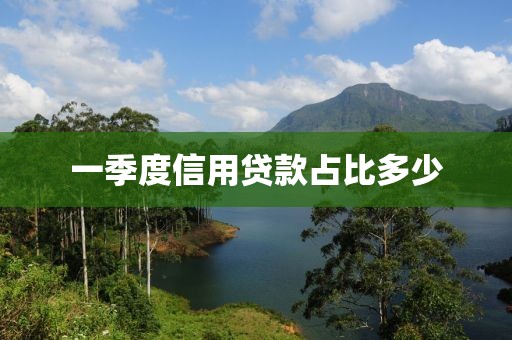 一季度信用贷款占比多少