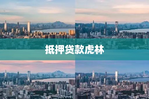 抵押贷款虎林