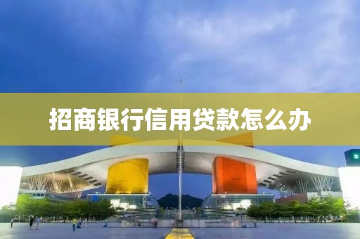 招商银行信用贷款怎么办