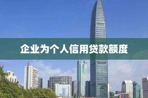 企业为个人信用贷款额度