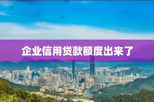 企业信用贷款额度出来了