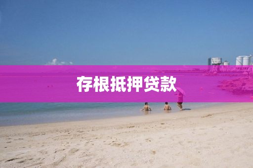 存根抵押贷款